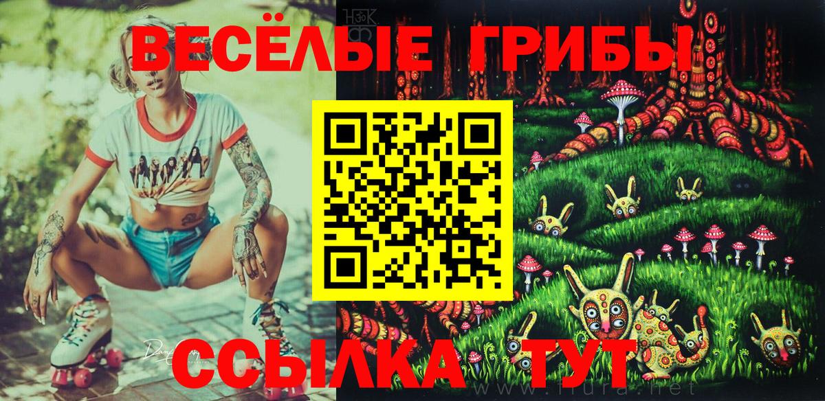 Галлюциногенные грибы Psilocybine cubensis  Вход с VPN  Димитровград 